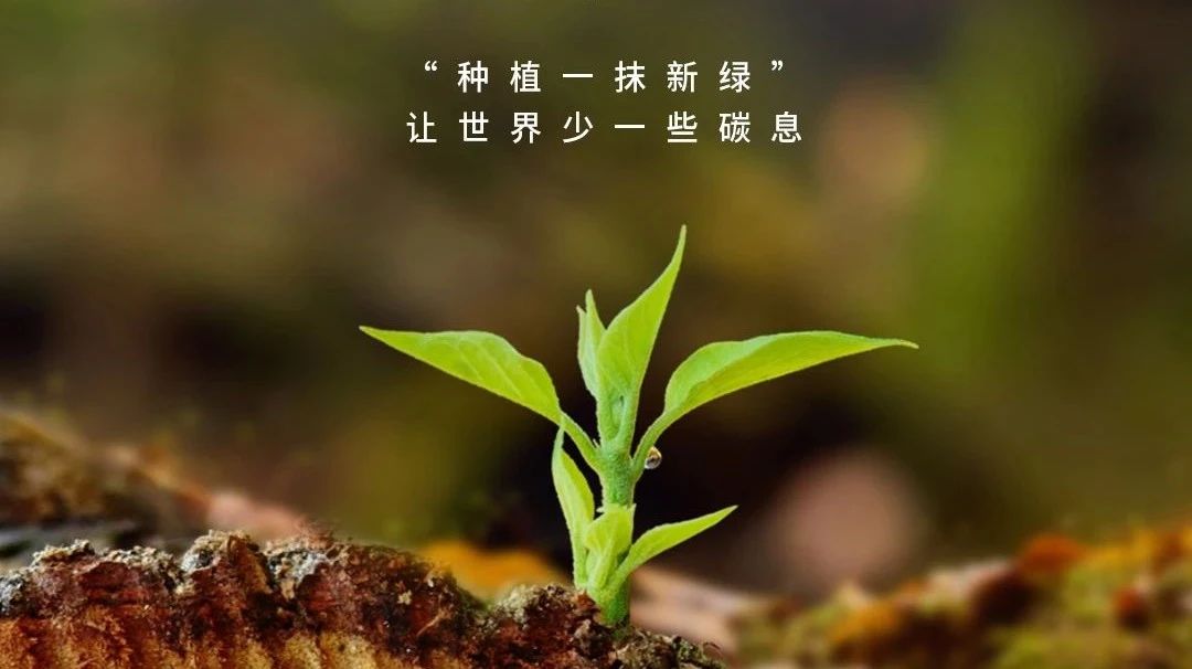 植樹節(jié)  |  廣源鋁業(yè)